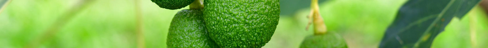 About Hero Background