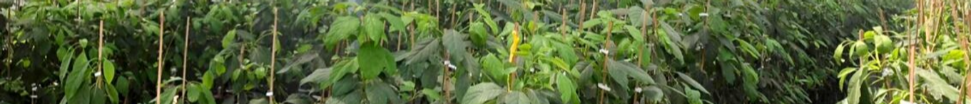 Products Services Hero Background